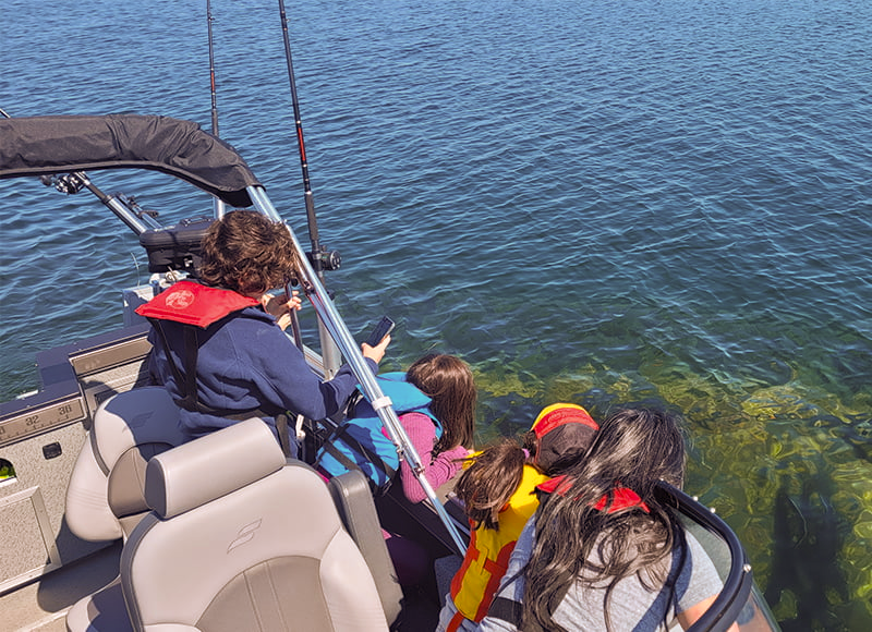 people looking into the water on a boat