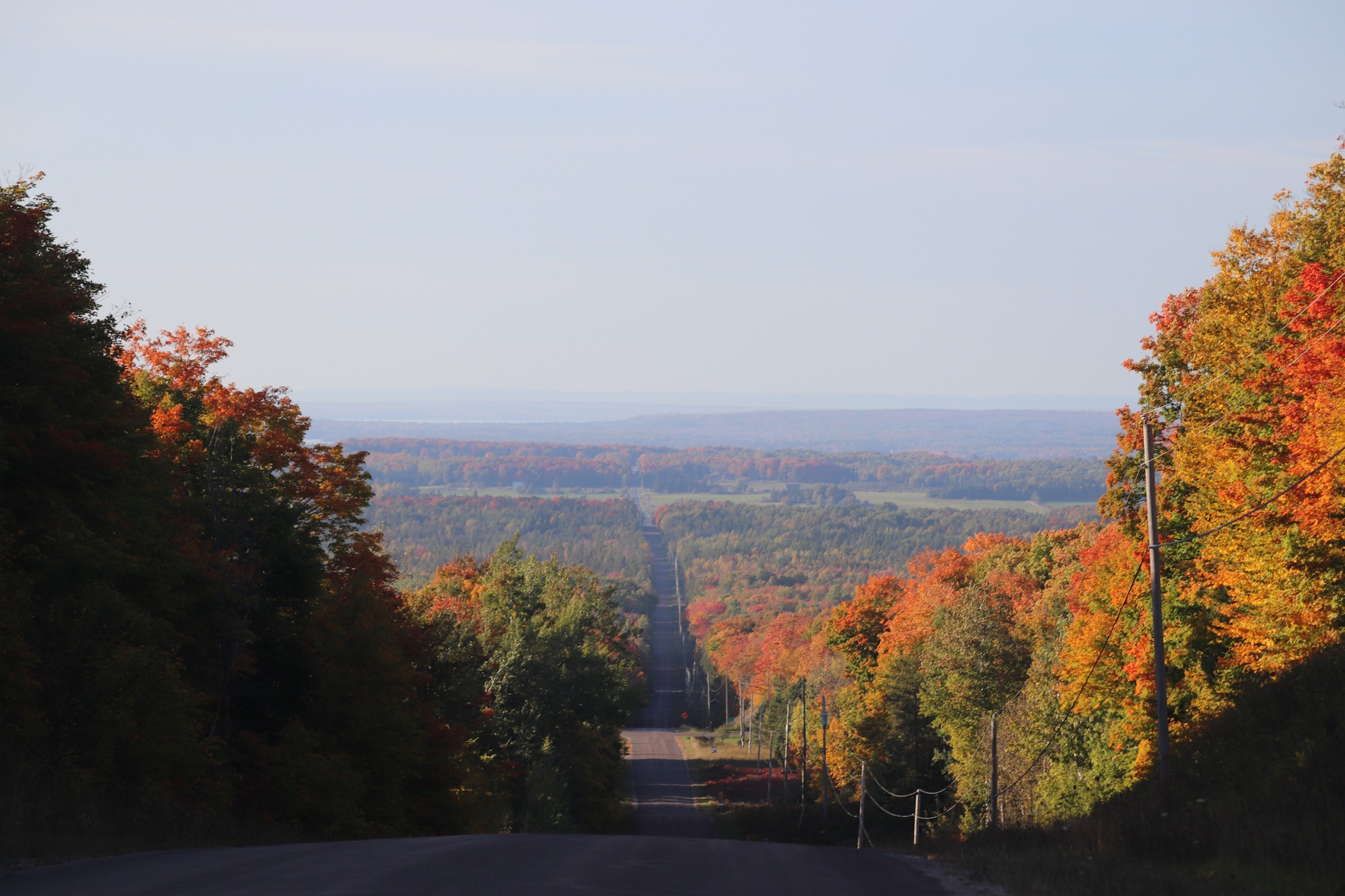 Road and trees running through the island