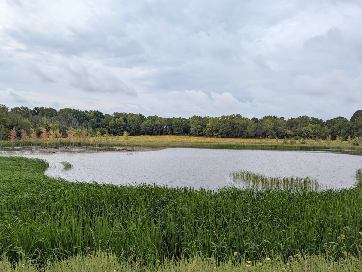 wetlands at Saltfleet Conservation Area rural Hamilton Ontario