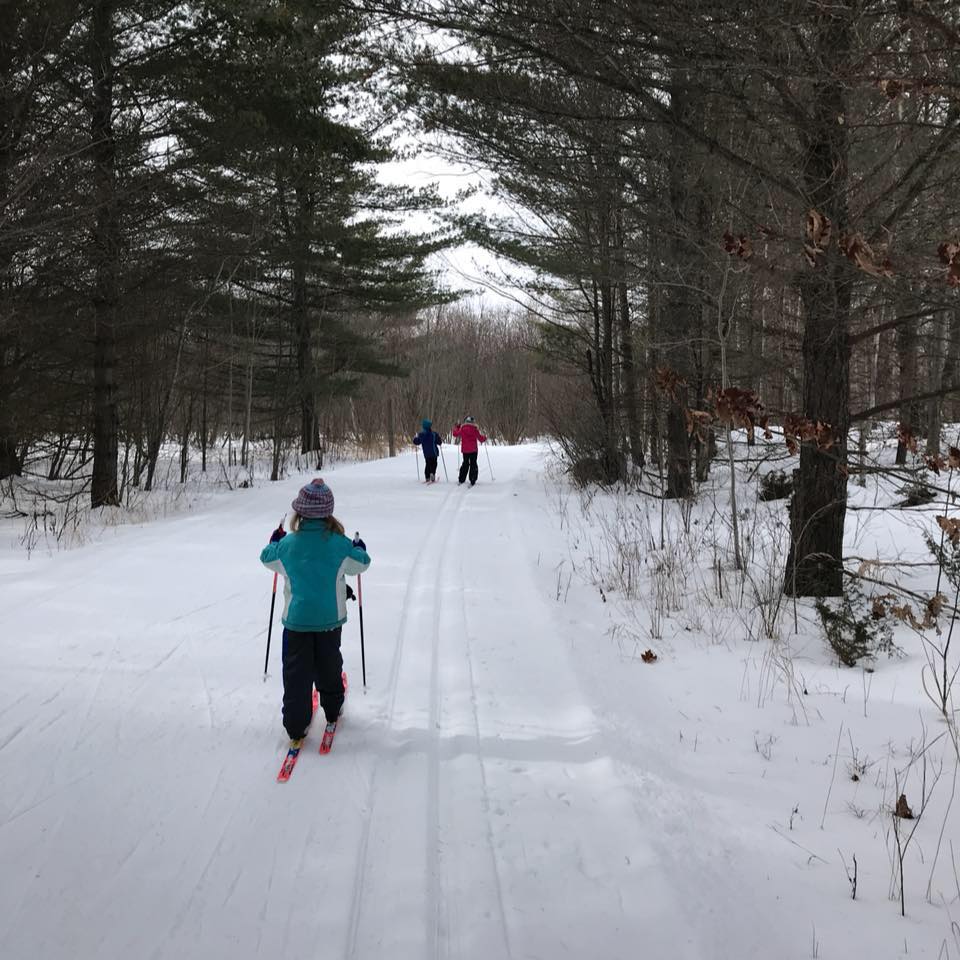 People cross country skiing on trails