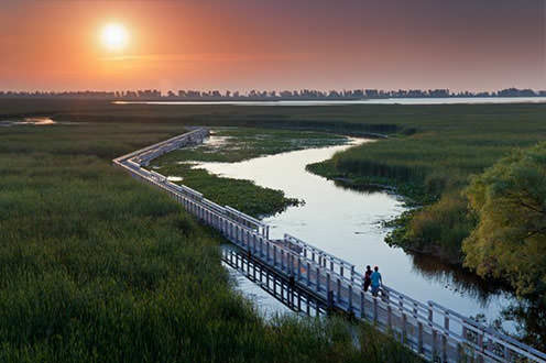 scenic walk in Point Pelee National Park