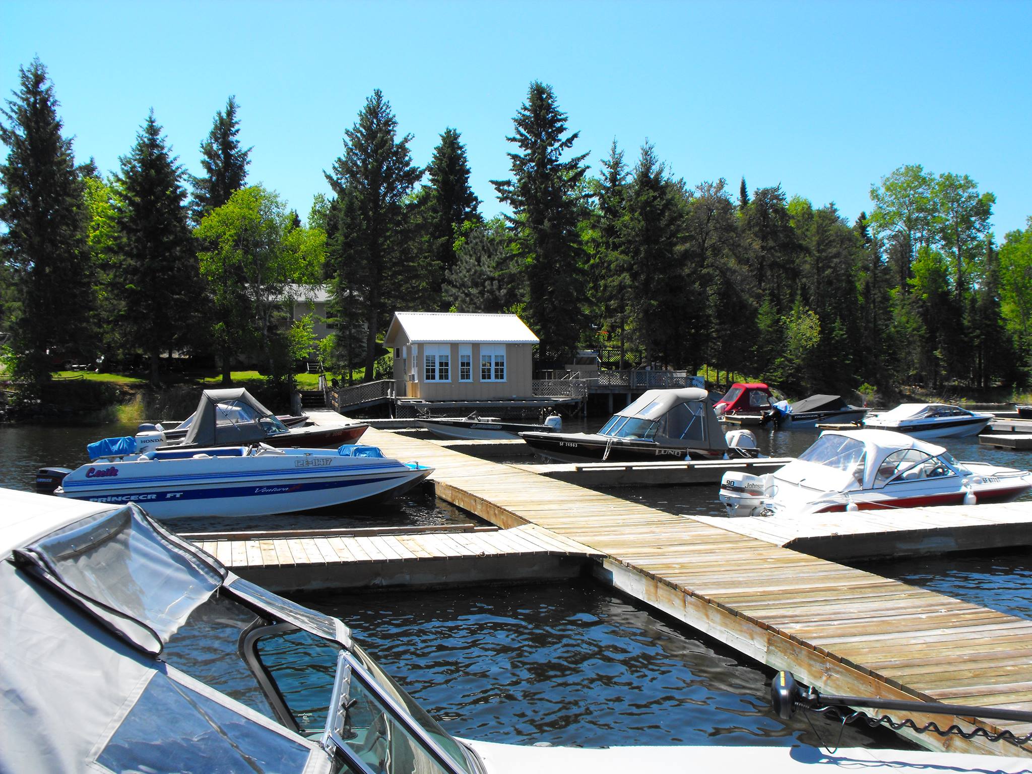 Boats at the marina