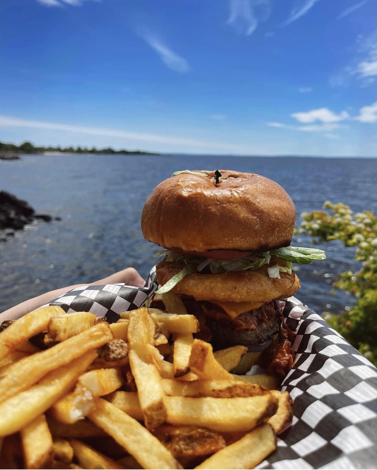 burger and fries by the lake