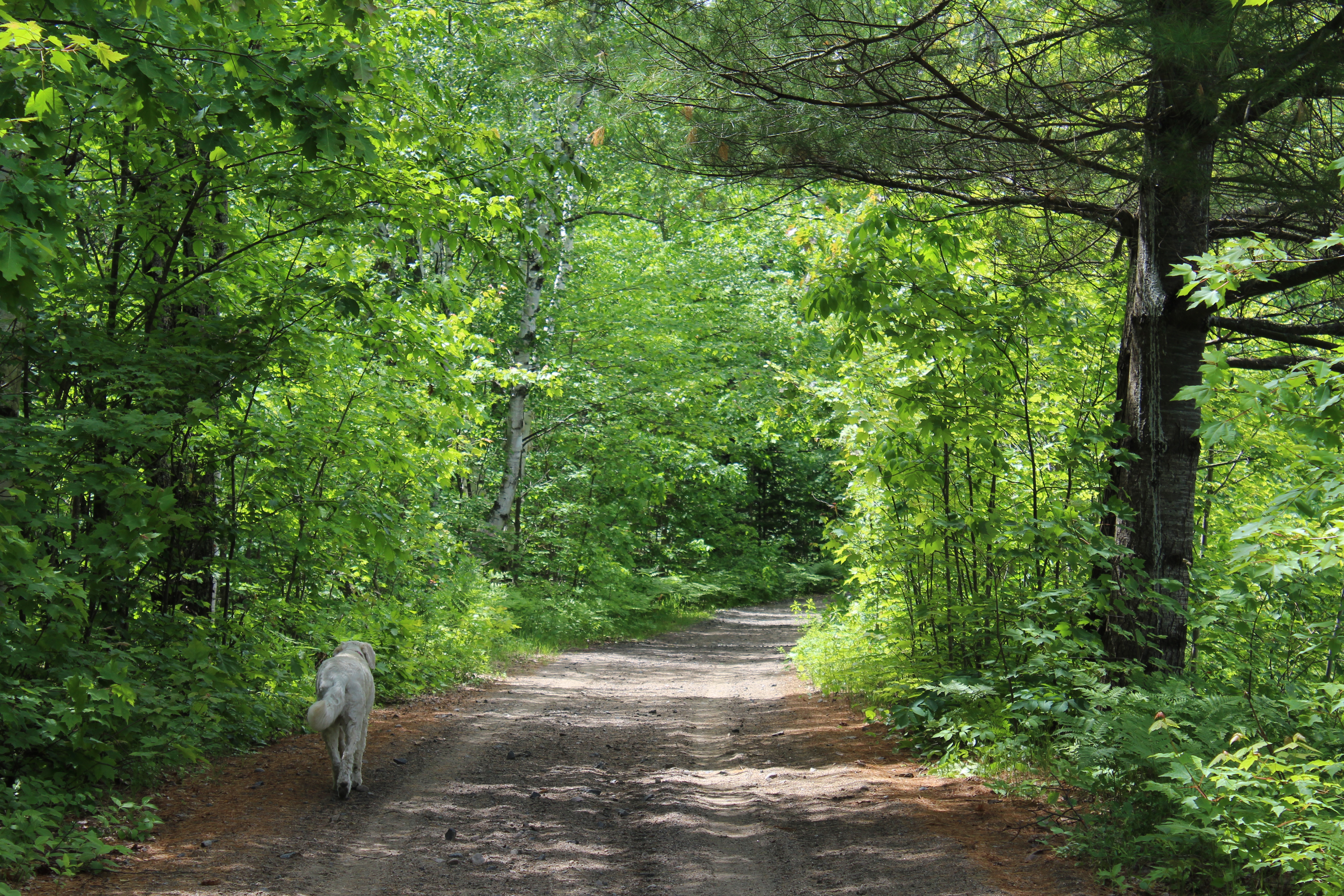 Parry Sound KOA