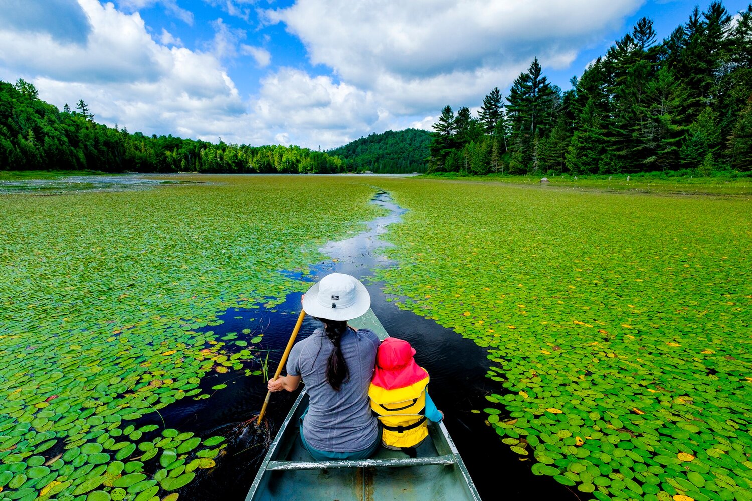 Canoeing on lake with lily pads