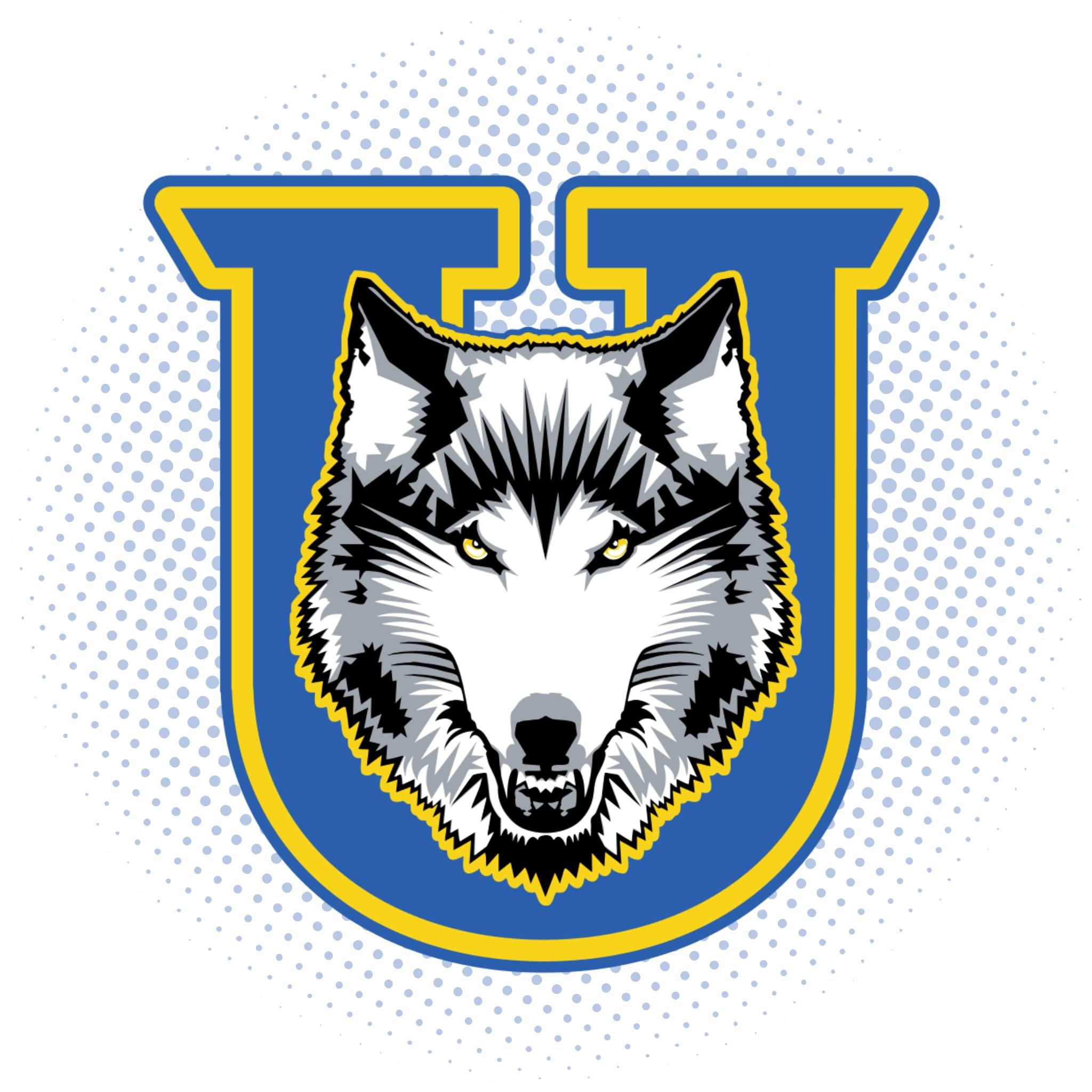 Lakehead University Sports logo