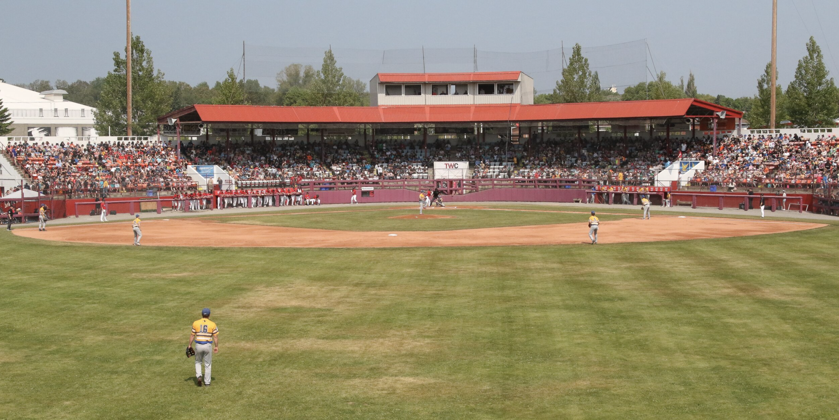 thunder bay border cats at port arthur stadium