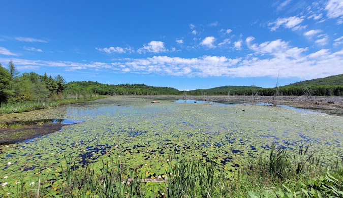 Looking across water