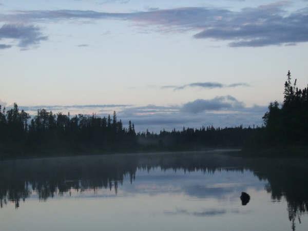 water and trees at dusk