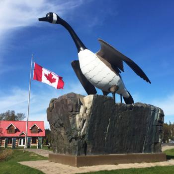 Wawa Goose and Tourist