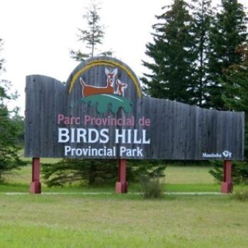 Birds Hill