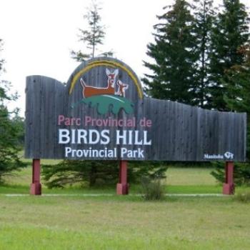 Birds Hill