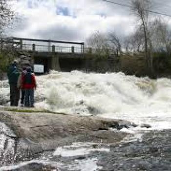 Nestor Falls