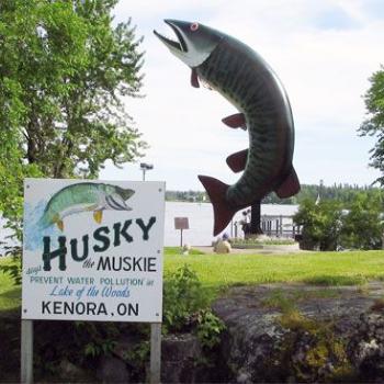 Husky the Muskie