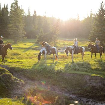 Falcon Ranch