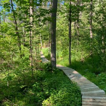 Ghost Lake Trail