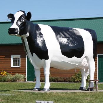 ms claybelt the 12-foot holstein cow