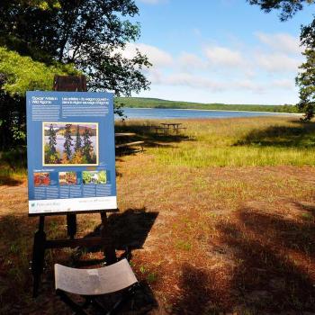 Group of Seven easel Pancake Bay