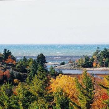 Woodland Loop - Boom Camp Interpretive Park Trails fall colours