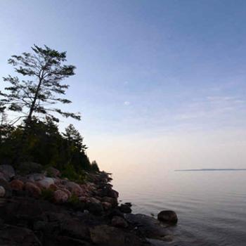 bruce bay cottages