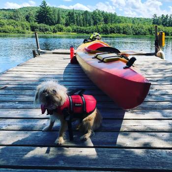 Dog and kayak Deep Roots Adventure