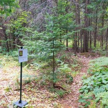 hiking trail with sign