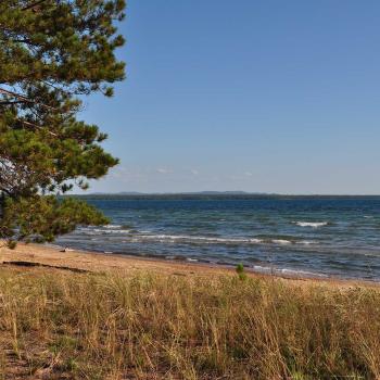 sandy beach, tree, water