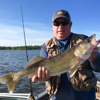 Walleye fishing at Buena Vista Resort