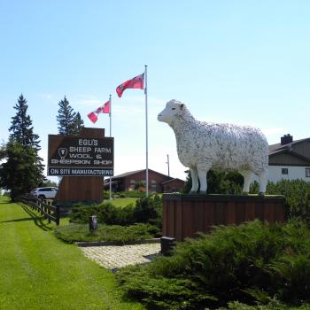 Egli's Sheep Farm sign