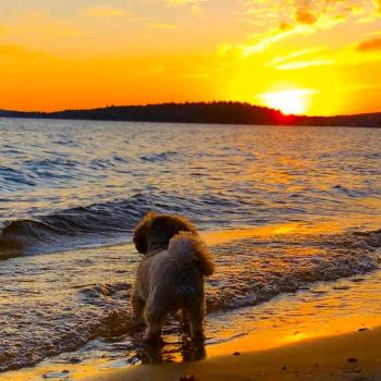 Sunset over MNR Beach in Sioux Lookout