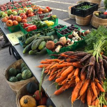 fresh vegetables produce