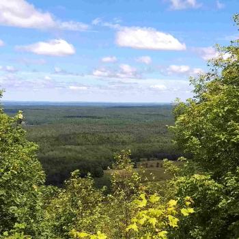 Lush green view from Dacre Heights