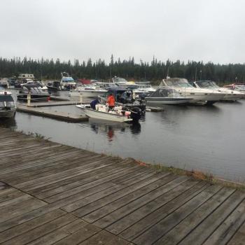 Boats at marina