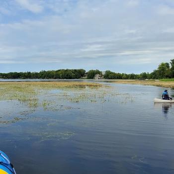 A lake with rafts in the background, a dock, and trees