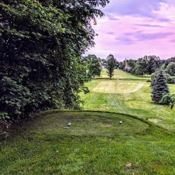 A green golf course with a hole in the foreground and trees to the left. 