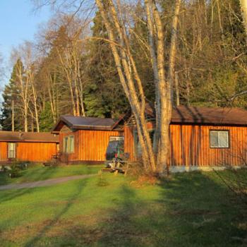 3 cabins nestled in the trees