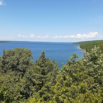 Looking out on the water with trees in front