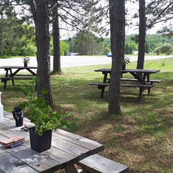 Picnic tables by the fry shack