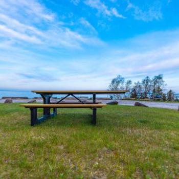 Superior Picnic Table - Pebble Beach