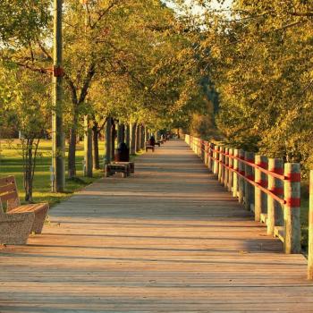 Boardwalk at park