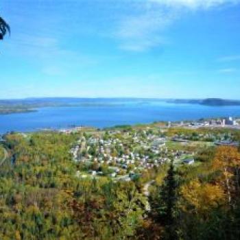 Lookout view of trail