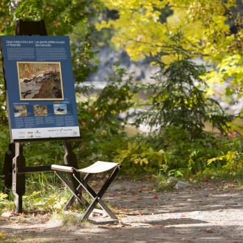 Interpretive panel in Chippewa Falls