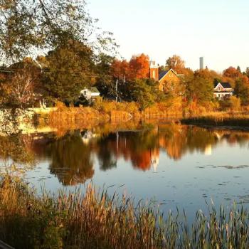 A view of the water from the cabin