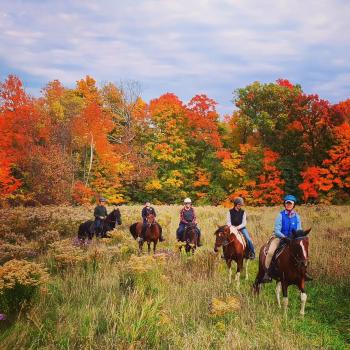 horse back riding through the fields