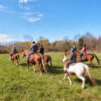 horse back riding in a field