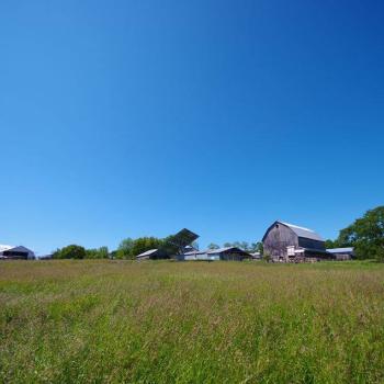 View of the farm