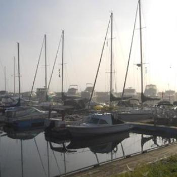 Sailboats in marina