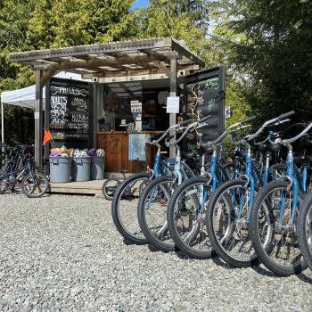 bikes lined up