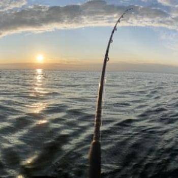 Fishing rod in the water