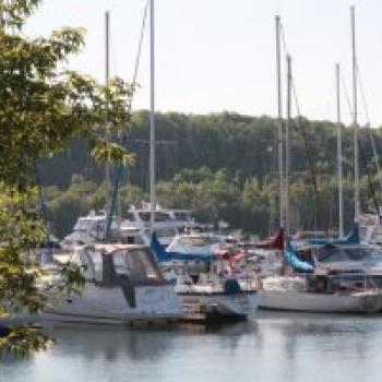 Boats at the marina